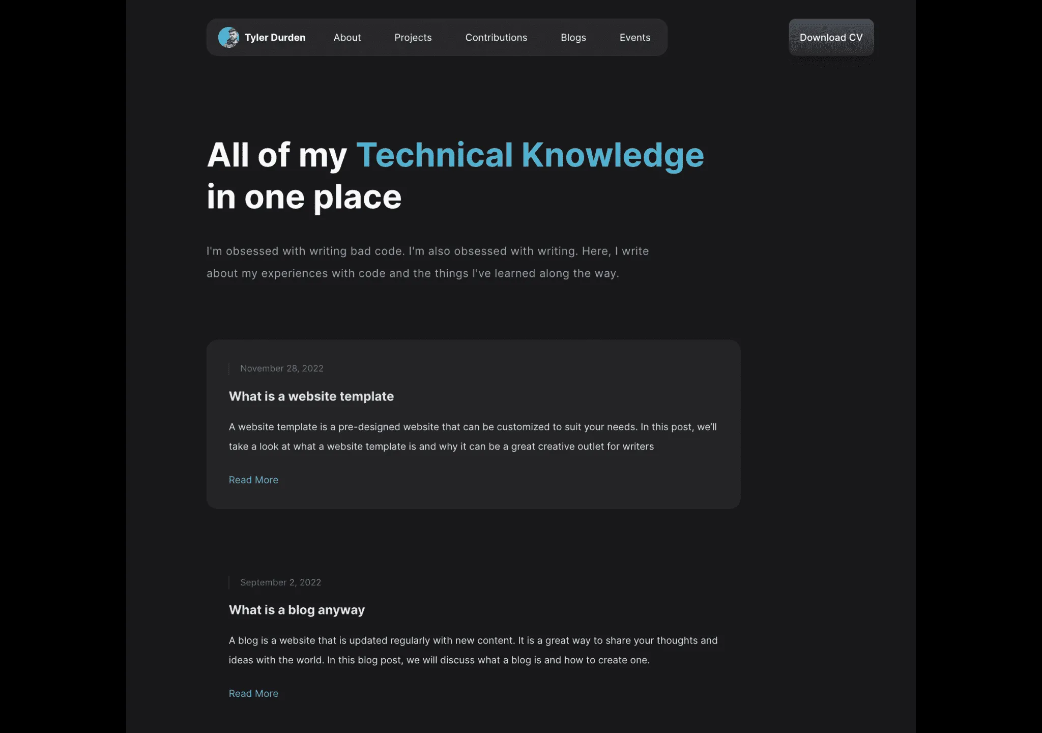 DevPro Portfolio Template